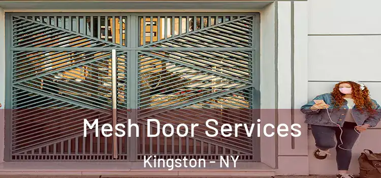 Mesh Door Services Kingston - NY
